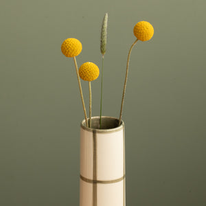 Close-up of the opening of a thin, narrow vase in front of green checkered with large white fields
